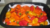 Washed Peppers